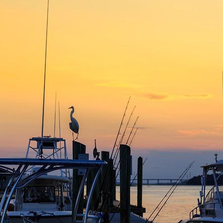Forest Beach Villas Hilton Head Island Rom bilde