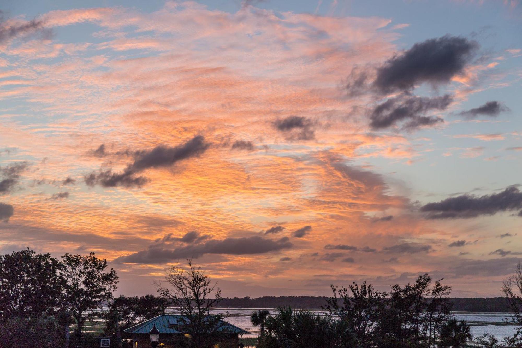 Forest Beach Villas Hilton Head Island Rom bilde